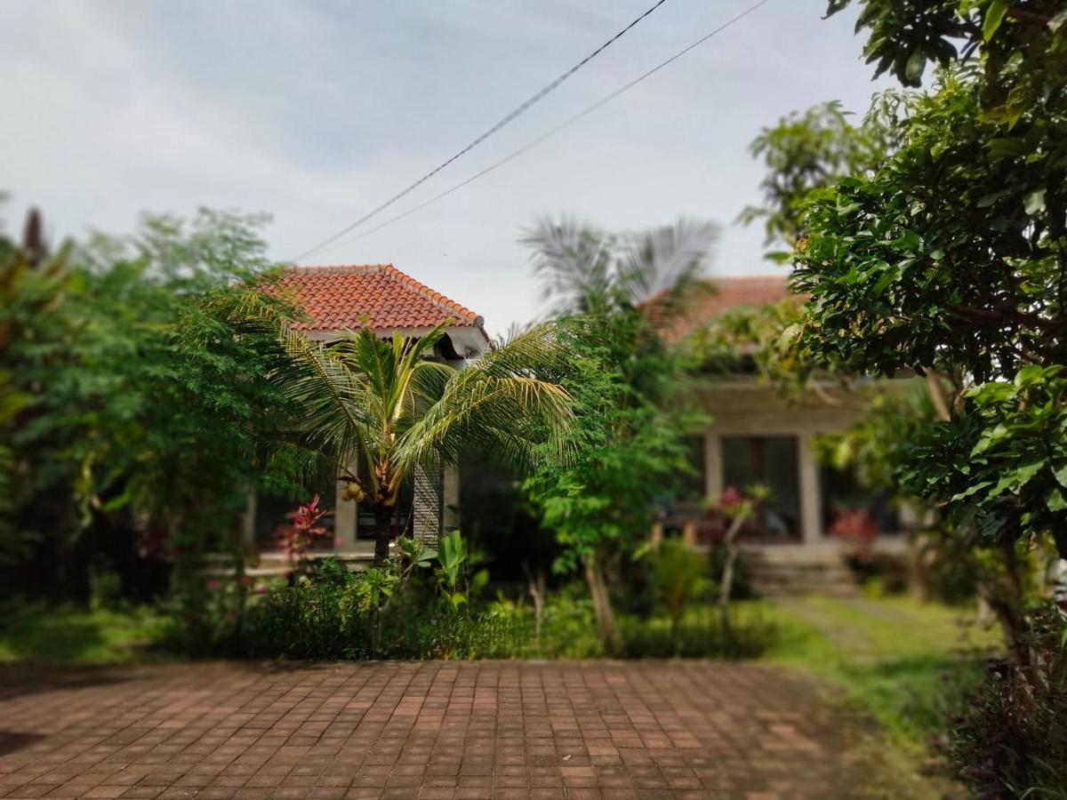 Pier26 Bali Homestay Nusa Dua  Exteriör bild