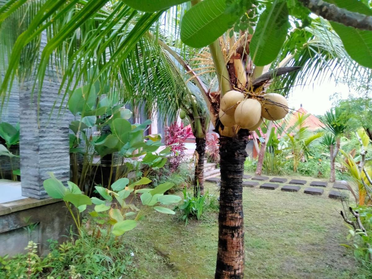 Pier26 Bali Homestay Nusa Dua  Exteriör bild