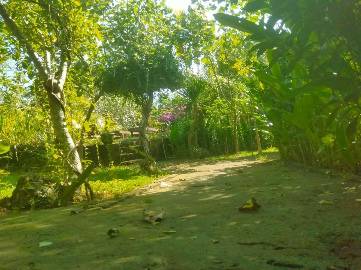 Pier26 Bali Homestay Nusa Dua  Exteriör bild
